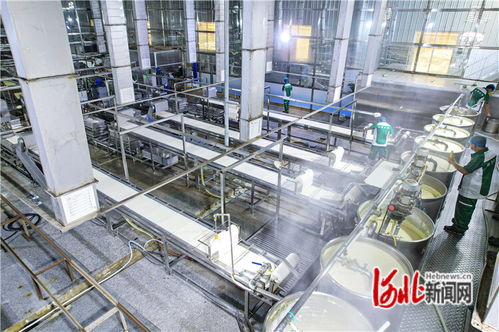 廊坊廣陽 機(jī)械化賦能農(nóng)產(chǎn)品深加工，量子計(jì)算技術(shù)助力京津菜籃子保供